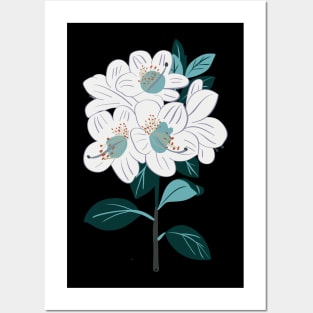 Botanical Posters and Art